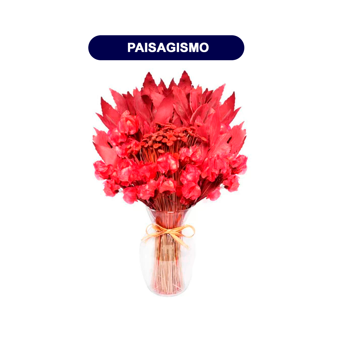 Aluguel de paisagismo para eventos INOVAR 1080x1080.png